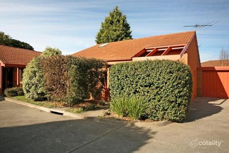 Property photo of 12/82-90 Wilson Street Cheltenham VIC 3192