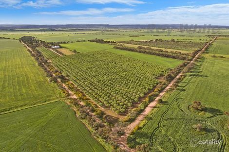 Property photo of 331 Fairlie Road Ward Belt SA 5118