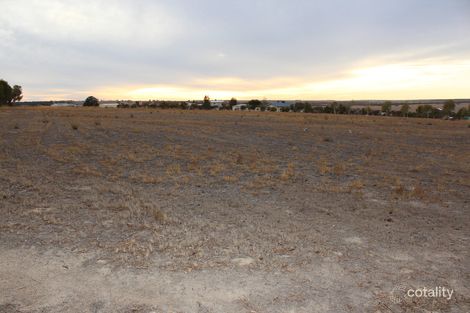 14 Hewett Rd, Wongan Hills, WA 6603