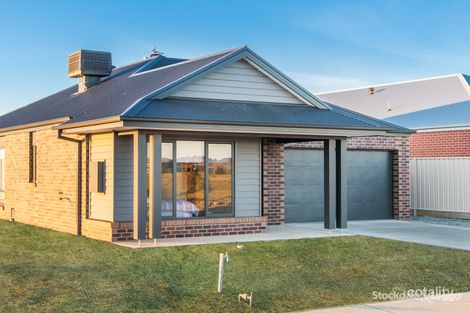 Property photo of 13 Ranfurly Crescent Kialla VIC 3631