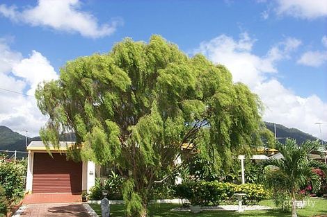 41 Angela St, Woree, QLD 4868