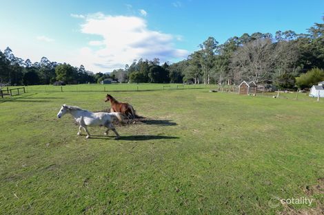 Property photo of 1355 Little Yarra Road Gilderoy VIC 3797