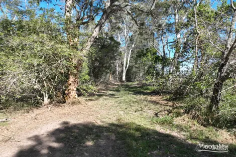 Property photo of 11 Innes Lane Melinga NSW 2430