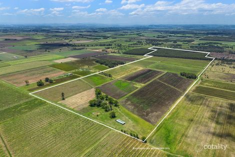 520 Forest Rd, Dungarubba, NSW 2480