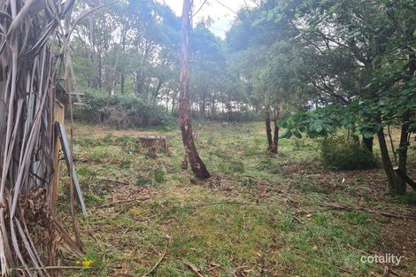 10 Mountain Rise, Merrijig, VIC 3723