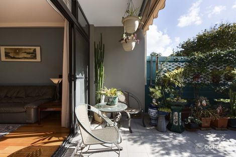 3/2a Pyrmont Bridge Rd, Camperdown, NSW 2050