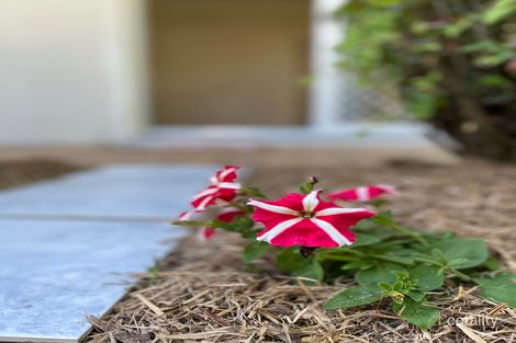Property photo of 17 Tussock Crescent Elanora QLD 4221