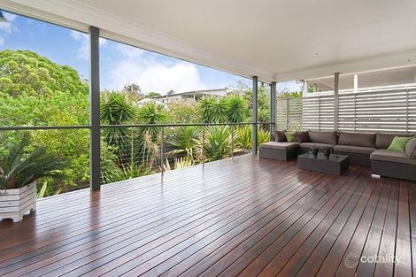 Property photo of 35 Melbourne Avenue Camp Hill QLD 4152