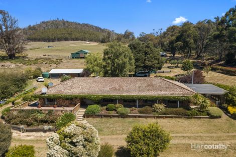 767 Pelham Rd, Pelham, TAS 7030