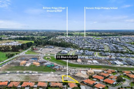 Property photo of 31 Blue Lily Circuit Junction Village VIC 3977