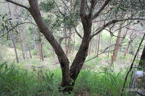 Property photo of 1217 Wild Pig Creek Road Undullah QLD 4285