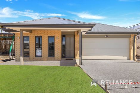 Property photo of 19 Hazelmere Avenue Eynesbury VIC 3338