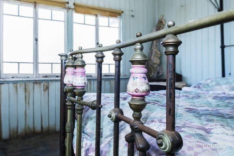 Property photo of 15 Bexley Avenue Balmoral QLD 4171