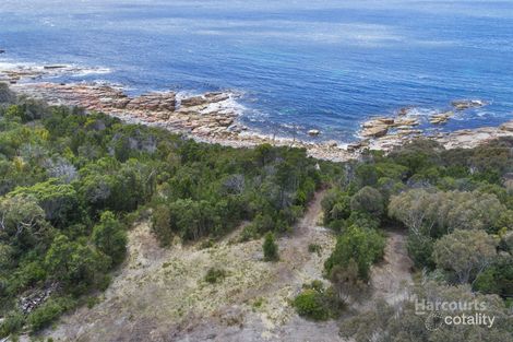 177 Harveys Farm Rd, Bicheno, TAS 7215