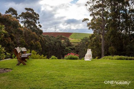 Property photo of 38 Crawford Road Penguin TAS 7316
