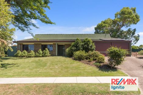 Property photo of 7 Sirocco Street Jamboree Heights QLD 4074