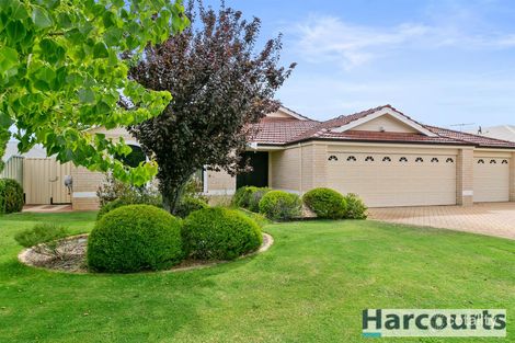 Property photo of 46 Blue Mountain Circuit Aubin Grove WA 6164