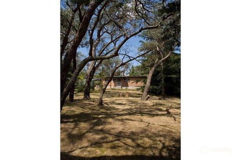 Property photo of 37 Courtneys Road Belgrave South VIC 3160
