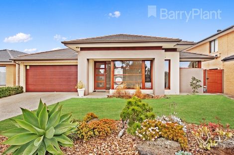 19 Hollywood Ave, Point Cook, VIC 3030