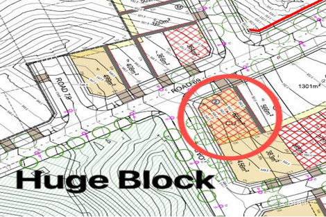 Property photo of 17 Thancoupie Crescent Whitlam ACT 2615