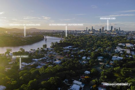 Property photo of 25 Luya Street Fairfield QLD 4103