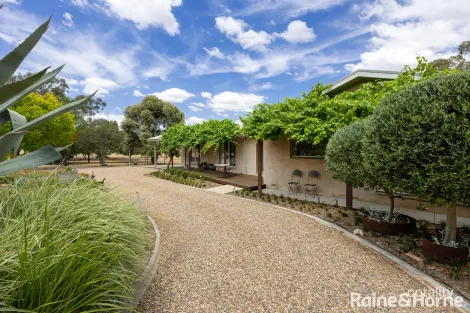 Property photo of 44 Blackbutt Road Lake Albert NSW 2650