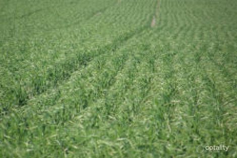 951 Colinroobie Rd, Colinroobie, NSW 2700