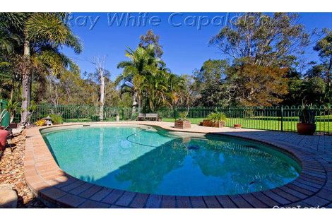 Property photo of 11 Wildflower Street Capalaba QLD 4157