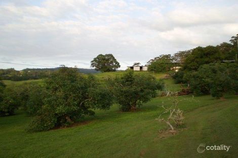 Property photo of 77 Diddillibah Road Woombye QLD 4559