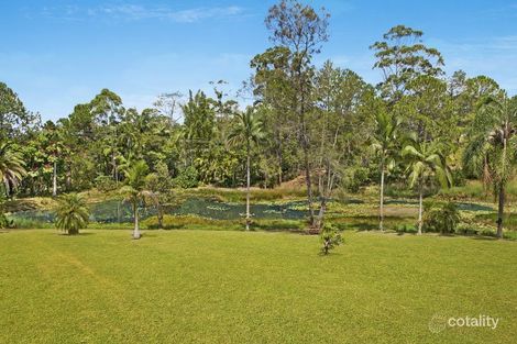 Property photo of 7 Pine Tree Drive Lake Macdonald QLD 4563