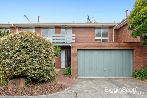 Property photo of 6/87 Severn Street Box Hill North VIC 3129