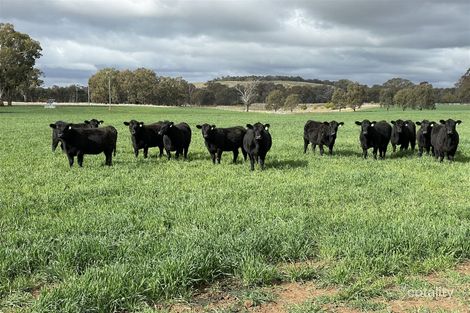 492 Stoney Park Rd, Burrumbuttock, NSW 2642