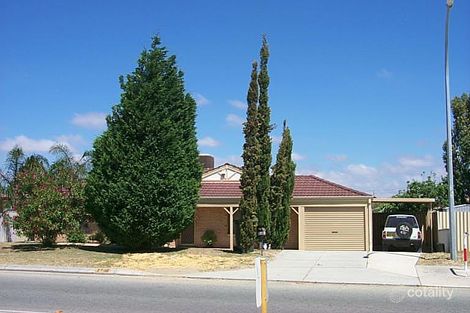 114 Apple Blossom Dr, Mirrabooka, WA 6061