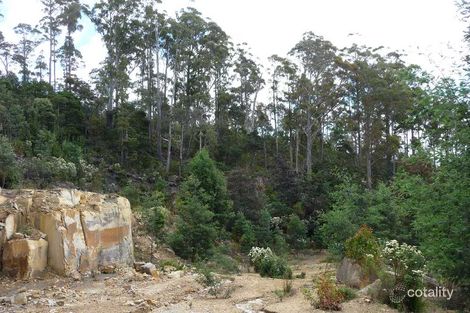 39009 Tasman Hwy, Nunamara, TAS 7259