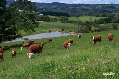 3102 Korumburra-Warragul Rd, Ellinbank, VIC 3821