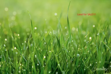 9 Felsite Cres, Rouse Hill, NSW 2155