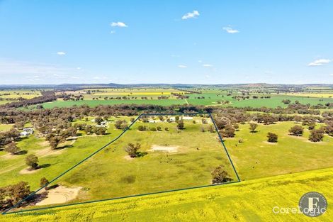 Property photo of 159 Old Wallendbeen Road Stockinbingal NSW 2725