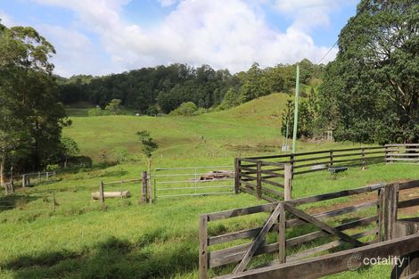 490 Stony Chute Rd, Stony Chute, NSW 2480