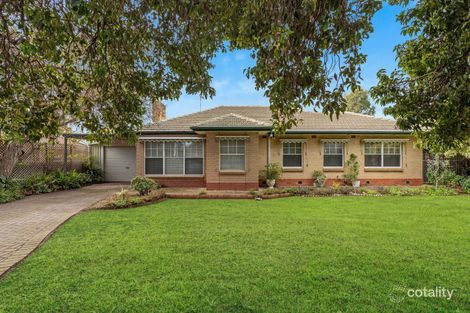 Property photo of 25 Elgin Avenue Warradale SA 5046