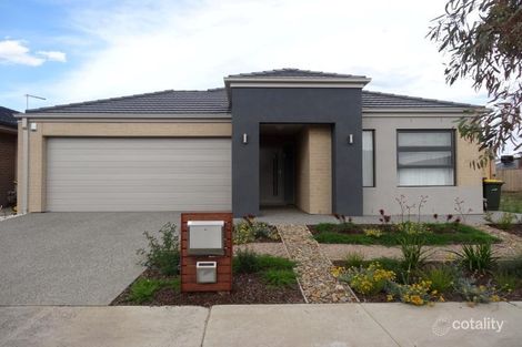 Property photo of 53 Penshurst Avenue Williams Landing VIC 3027