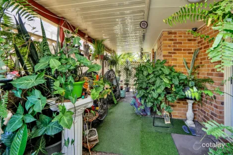 Property photo of 1 Steuart Street Bundaberg North QLD 4670