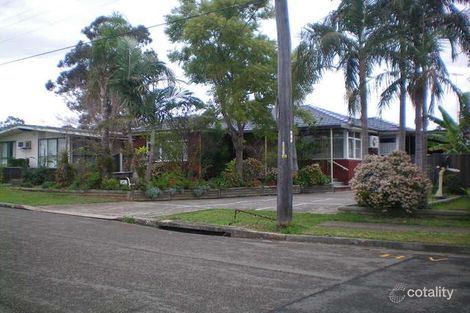 Property photo of 20 Young Street Mount Pritchard NSW 2170