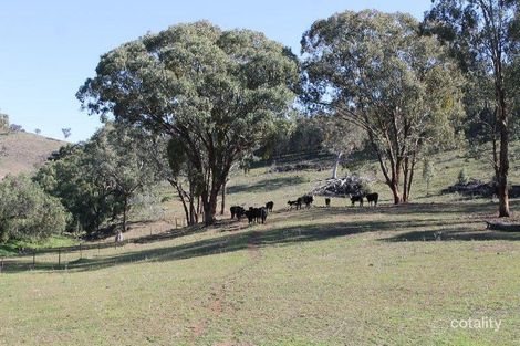 1125 Guroba Rd, Twelve Mile, NSW 2850