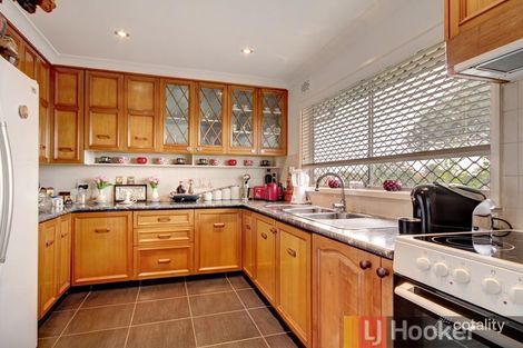 Property photo of 20 Parkland Avenue Punchbowl NSW 2196