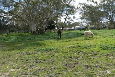 Property photo of 35 Hammersmith Drive Meadows SA 5201