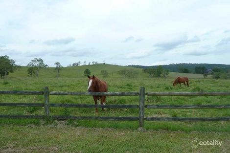 Pines Rd, Ettrick, NSW 2474