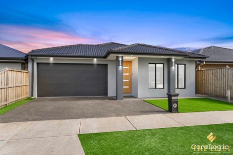 Property photo of 43 Monticiano Road Fraser Rise VIC 3336