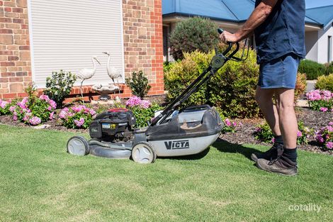 Property photo of 30 Murray Dyer Avenue Renmark SA 5341