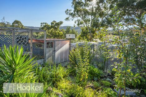 Property photo of 9 Kerria Road Risdon Vale TAS 7016