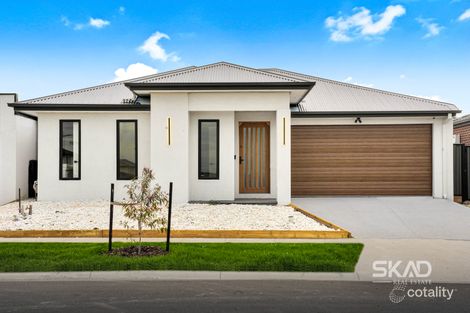 11 Currawong St, Kalkallo, VIC 3064